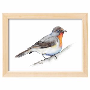 <strong>ZWERGSCNÄPPER</strong> <br>Aquarell - Fine Art Print